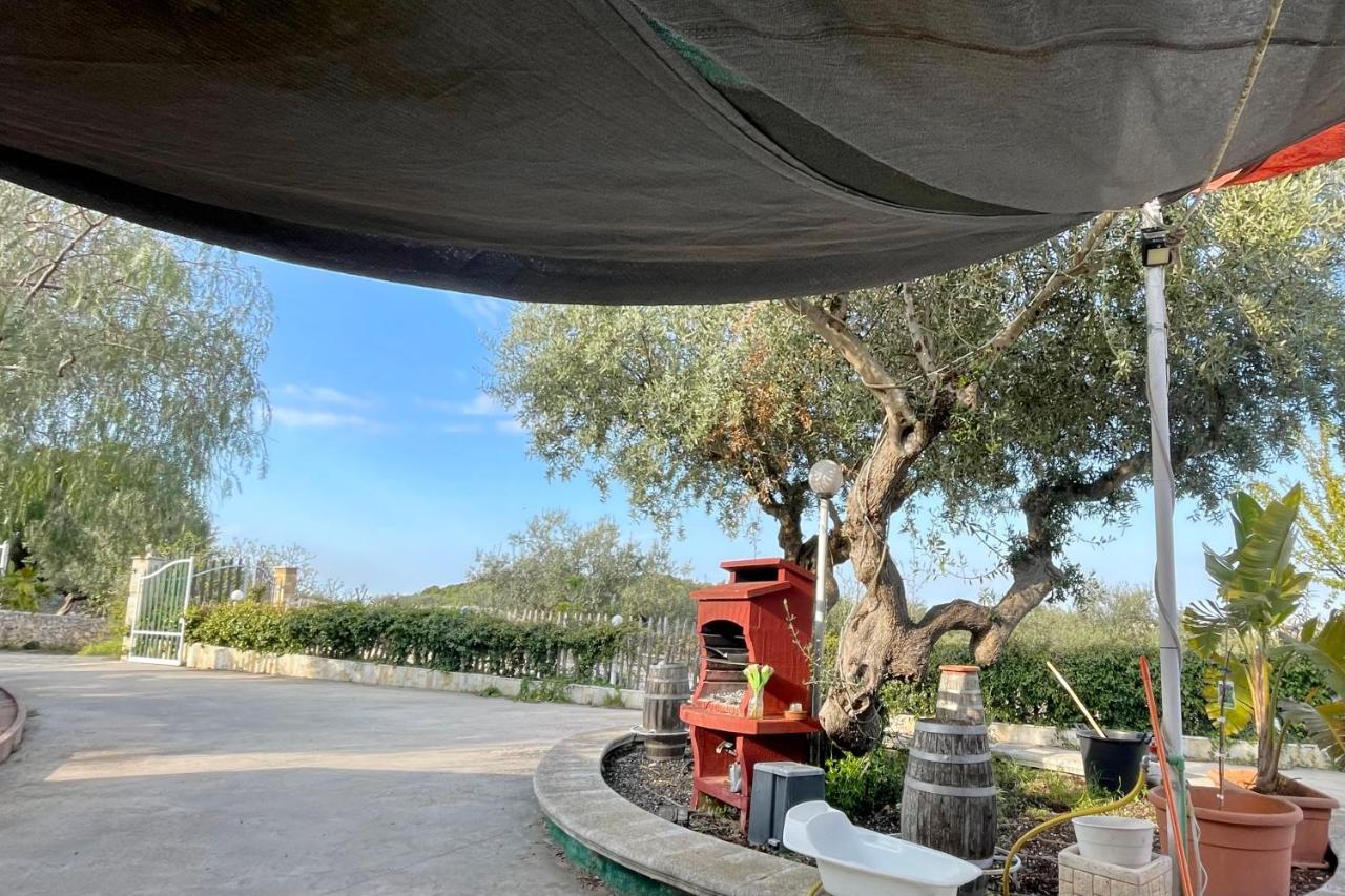 Music House A Castellana Grotte Confinante Via Per Turi 500M Dalle Grotte المظهر الخارجي الصورة