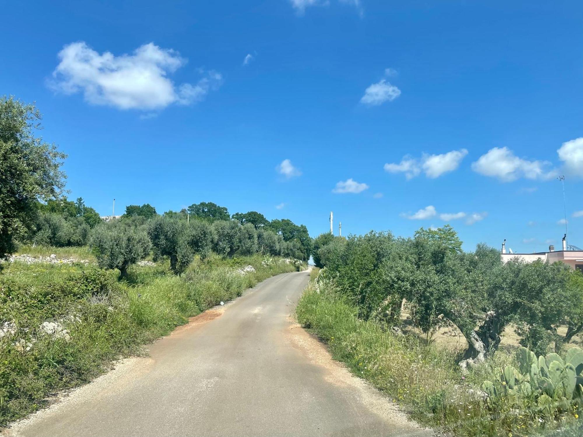 Music House A Castellana Grotte Confinante Via Per Turi 500M Dalle Grotte المظهر الخارجي الصورة
